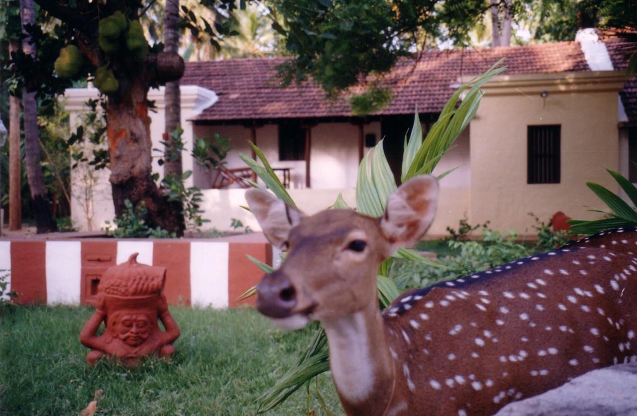 Indeco Hotels Swamimalai Kumbakonam Bagian luar foto
